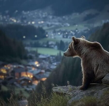 Pericolosamente vicini di Andreas Pichler: il genere umano contro gli orsi, alla fine perde
